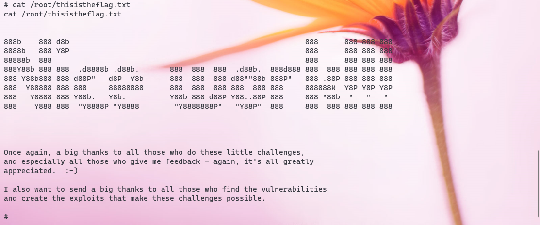 image-20220421145559822